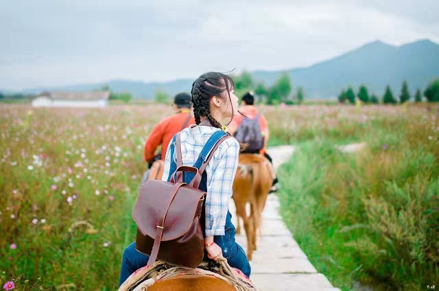 春節去云南旅游詳細攻略,春節去旅游5天要多少錢(qián)  第2張