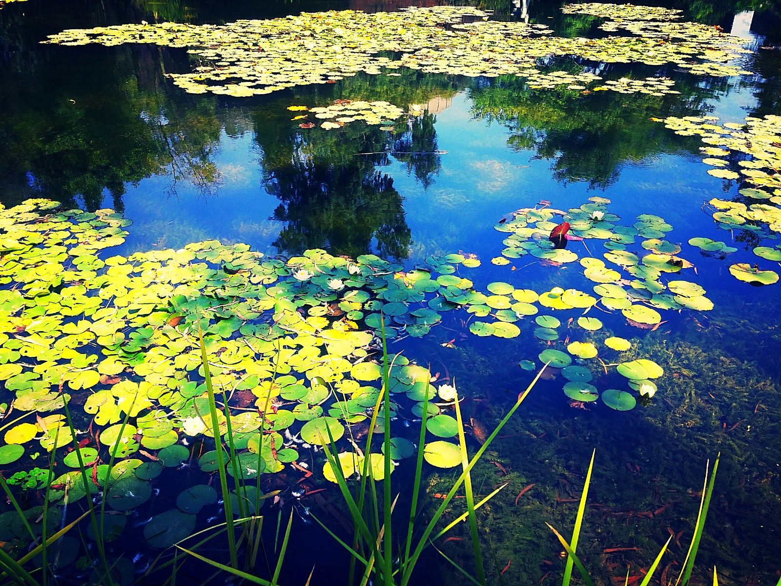 美麗的昆明風景，“春城”