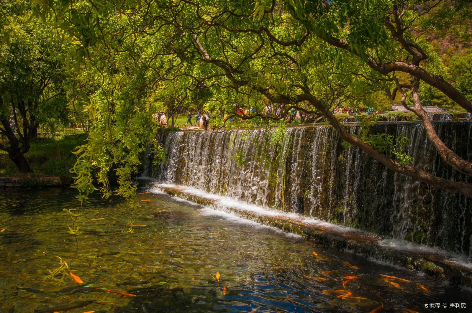 昆明西山森林公園好玩嗎？西山怎么樣