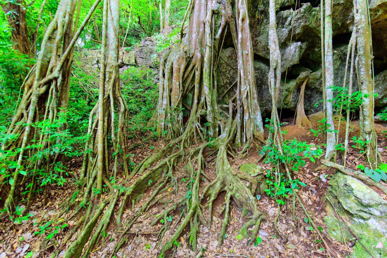 【大理新華民族村】——不同情懷的民族村