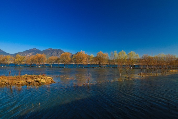 觀(guān)賞蝴蝶泉，欣賞大理美景