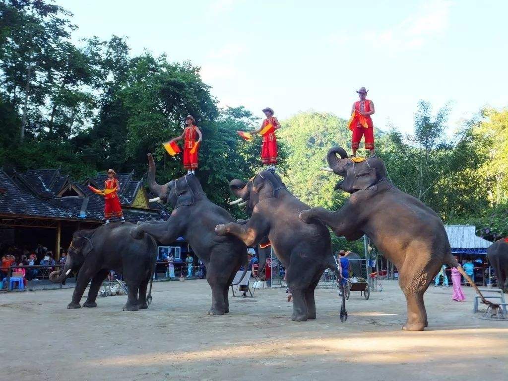 大理、麗江、麗江香格里拉旅游線(xiàn)路