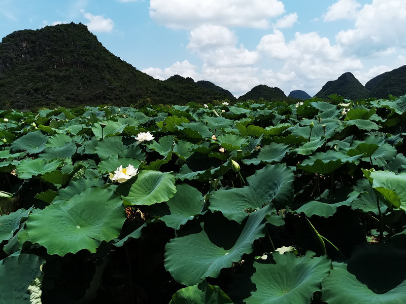 暑假去大理旅游――著(zhù)名文學(xué)之國大理旅游