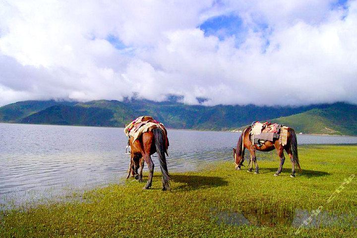 云南小涼山彝族村舍有意思嗎？小涼山彝族村舍的旅游策略