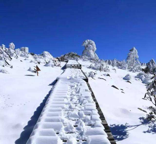 麗江當地旅游團-自助游還是團體游麗江更好嗎？