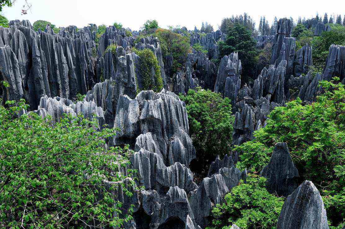 麗江旅行社旅游-麗江有一個為期兩天的旅游團(tuán)嗎？